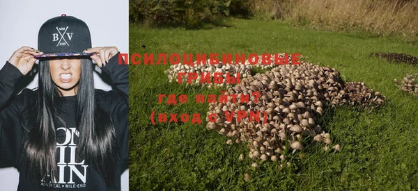 прущая мука Балахна