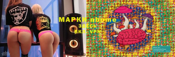 ПСИЛОЦИБИНОВЫЕ ГРИБЫ Баксан