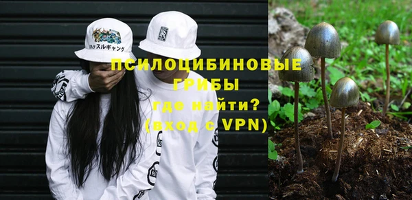 ПСИЛОЦИБИНОВЫЕ ГРИБЫ Баксан
